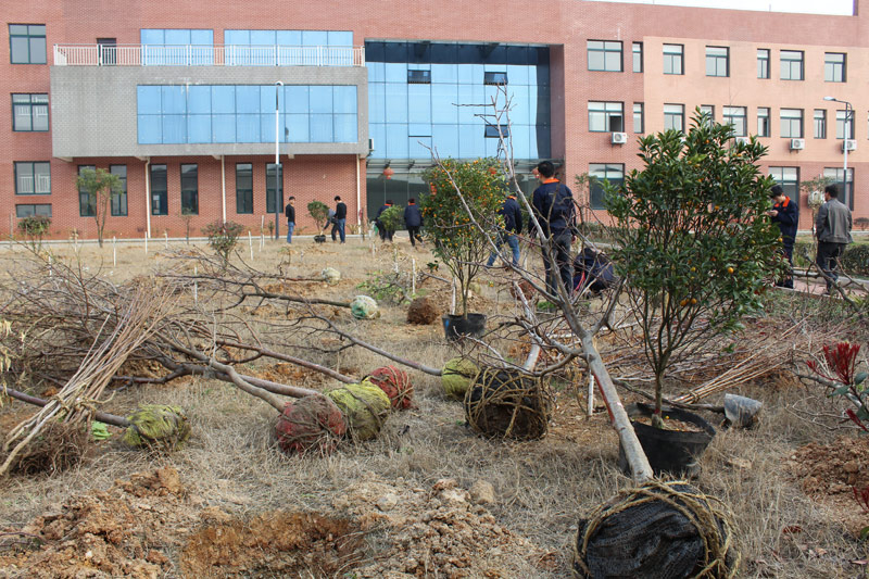 3月12植樹節(jié)，看看竑光人建設(shè)園林單位的勢(shì)頭！