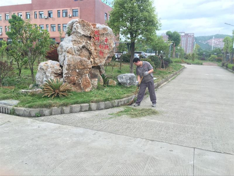 全員參與，創(chuàng)建衛(wèi)生廠區(qū)